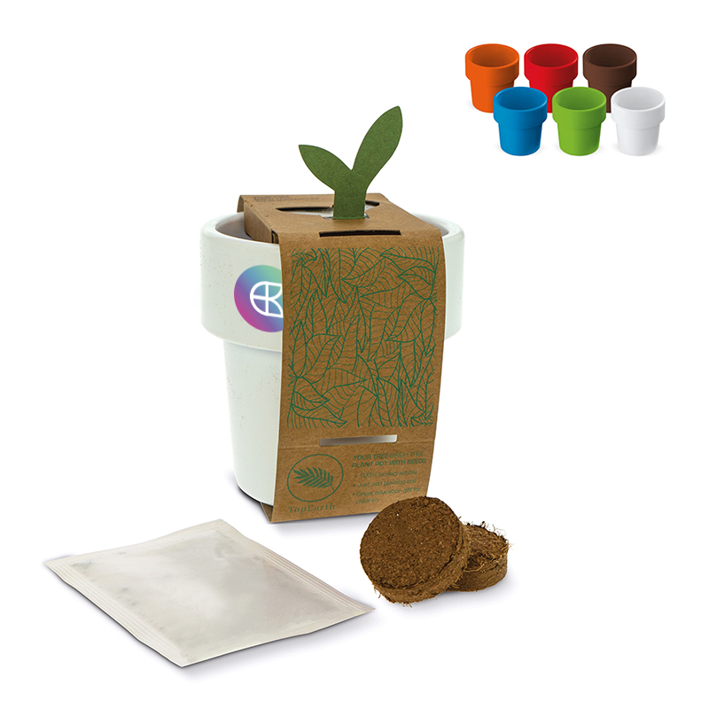 Cup with seeds